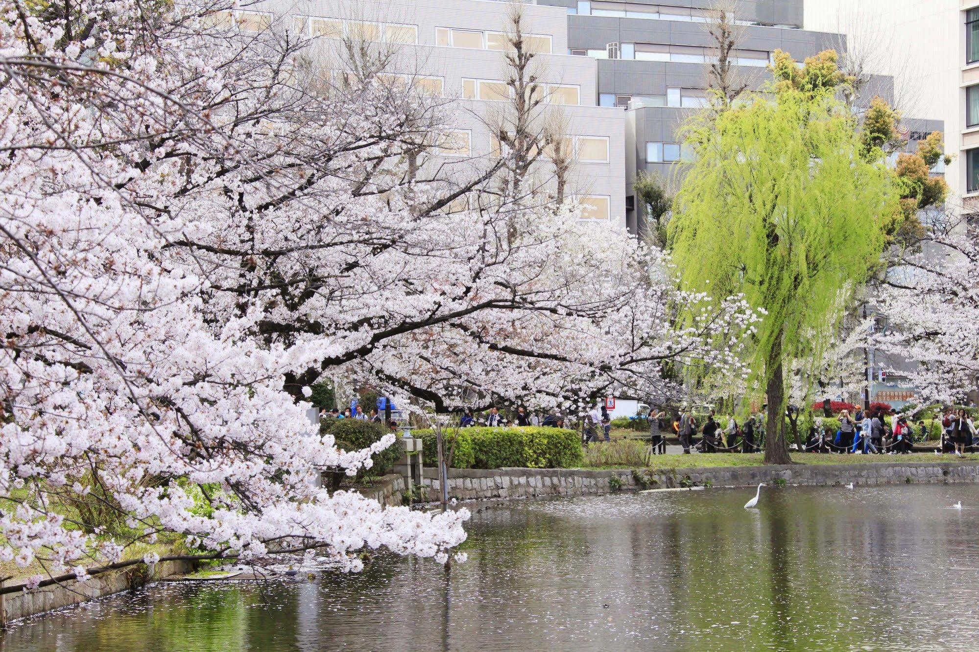Centurion Ladies Hostel Ueno Park 東京都 外观 照片